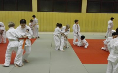 Einladung zum Judo-Sommerfest der DJK Süd